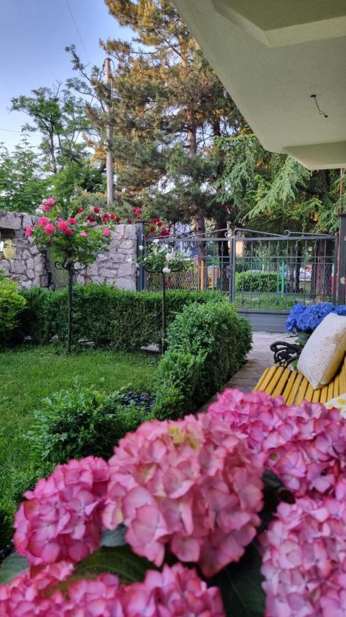 Apartman L&M Cetinje Luaran gambar