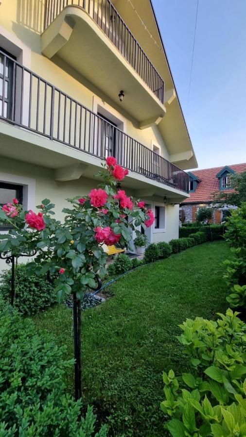 Apartman L&M Cetinje Luaran gambar